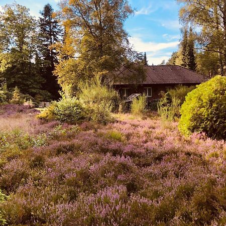 אונדלו Landhaus Mitten In Der Lueneburger Heide מראה חיצוני תמונה