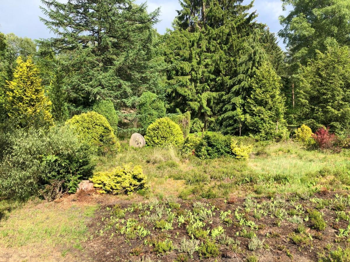 אונדלו Landhaus Mitten In Der Lueneburger Heide מראה חיצוני תמונה