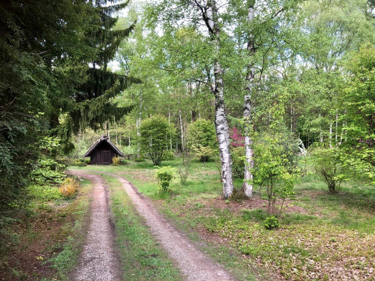 אונדלו Landhaus Mitten In Der Lueneburger Heide מראה חיצוני תמונה