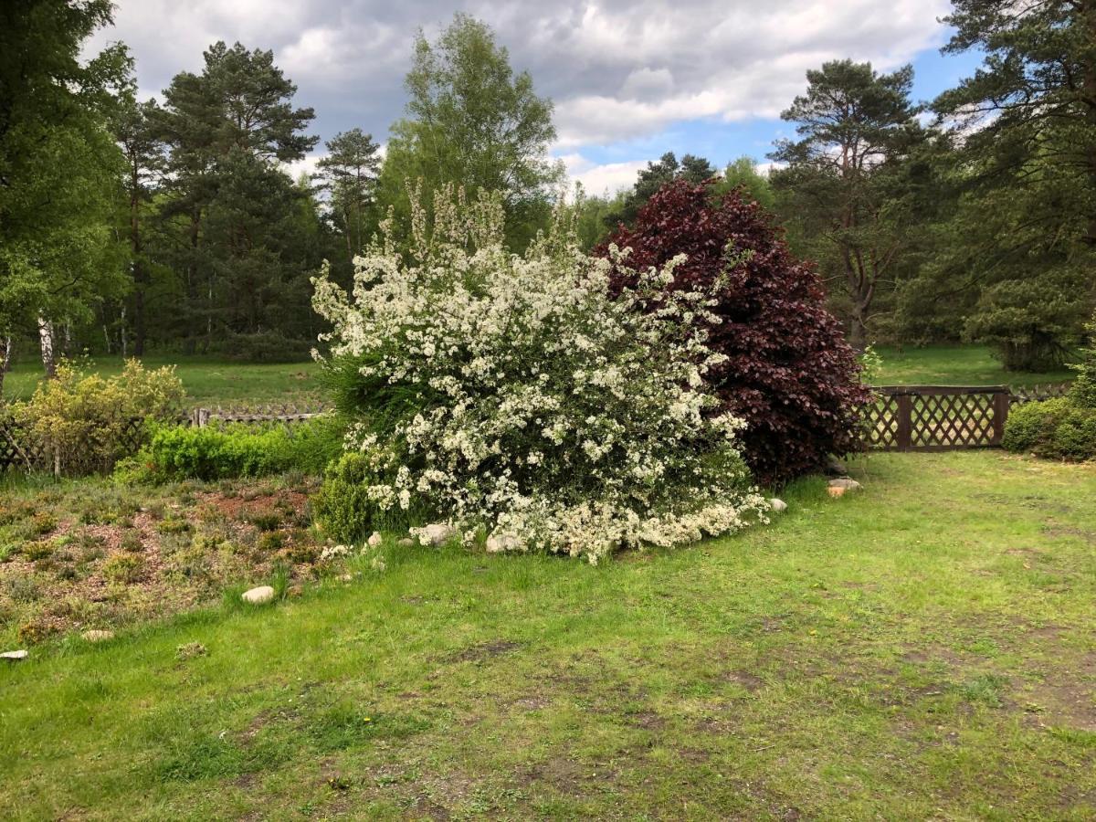 אונדלו Landhaus Mitten In Der Lueneburger Heide מראה חיצוני תמונה