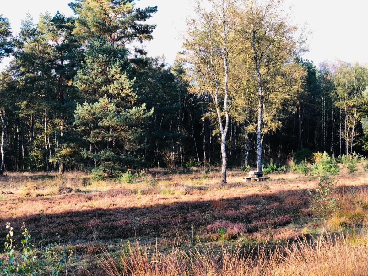 אונדלו Landhaus Mitten In Der Lueneburger Heide מראה חיצוני תמונה